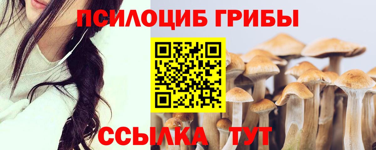 Псилоцибиновые грибы Magic Shrooms  Вход с VPN  закладка  Коломна 