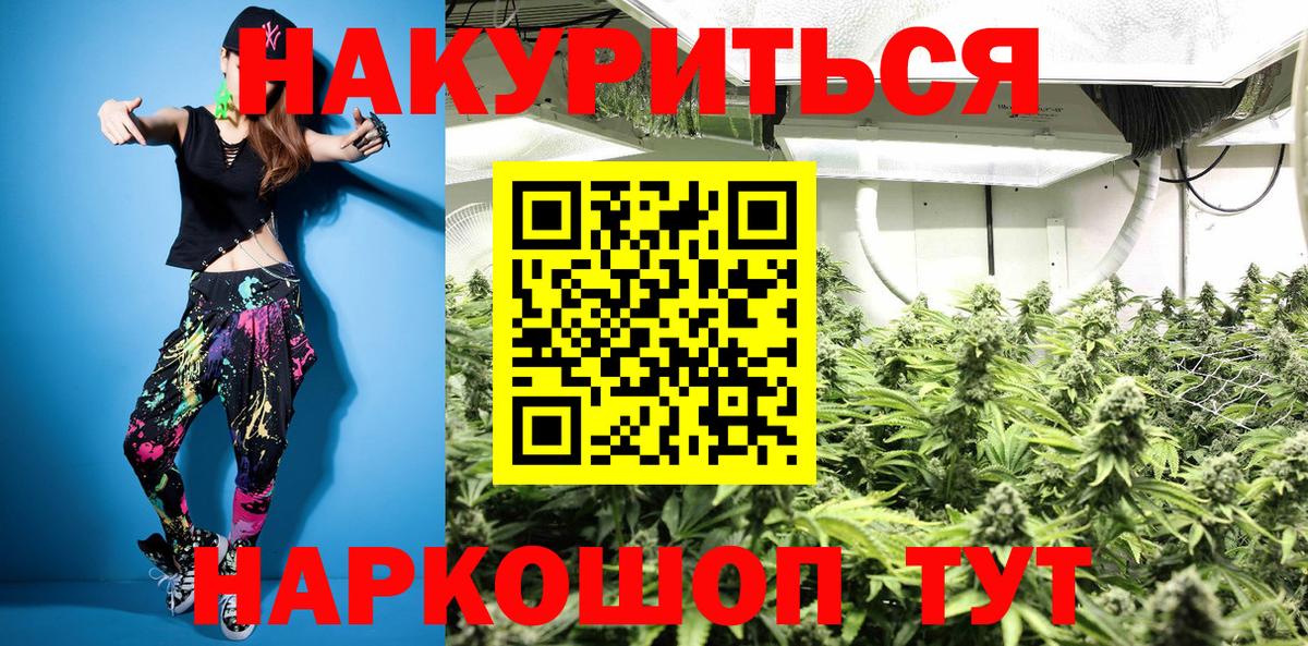 Каннабис план Коломна